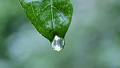 Budget - professional stock photography