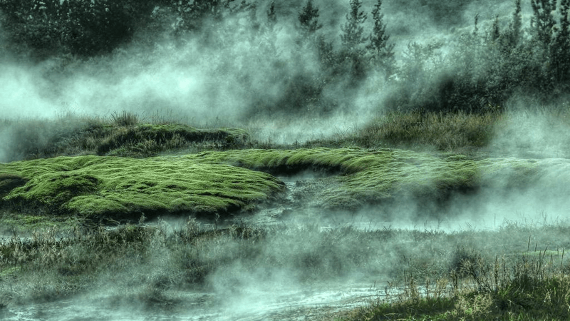 Chart - professional stock photography