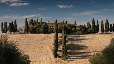 Contract - professional stock photography