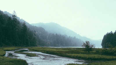 Credit Card - professional stock photography