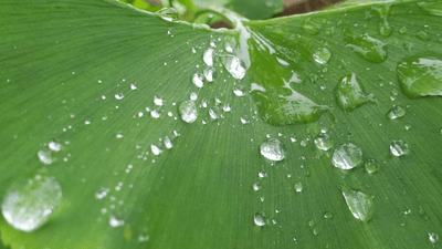 Credit Card - professional stock photography