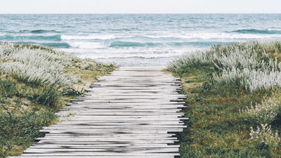 Investment - professional stock photography