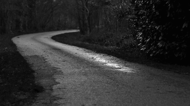 Meeting - professional stock photography