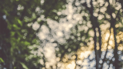 Meeting - professional stock photography