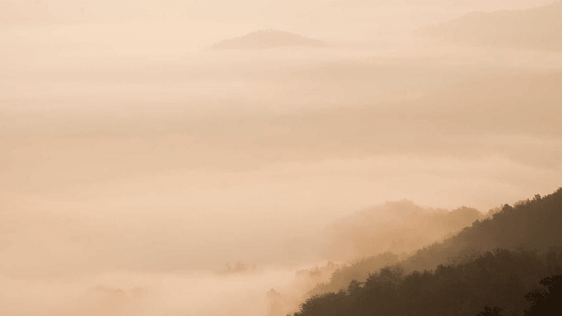 Meeting - professional stock photography