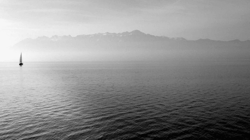 Money - professional stock photography