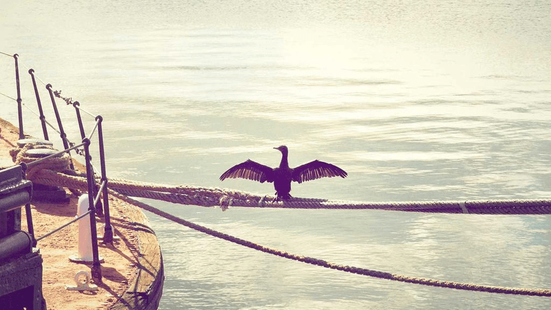 Real Estate - professional stock photography