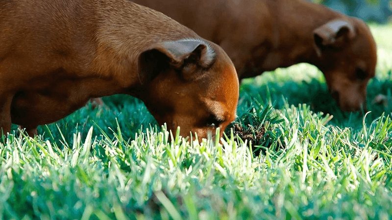 Savings - professional stock photography