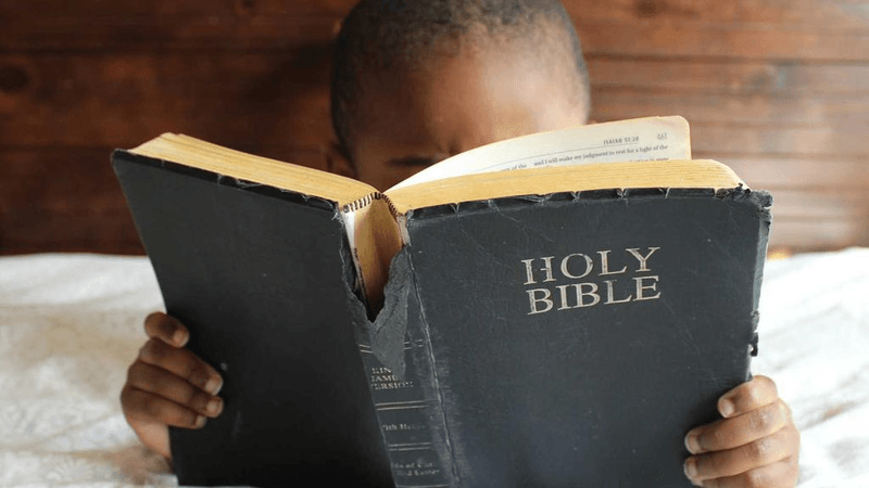 Wallet - professional stock photography