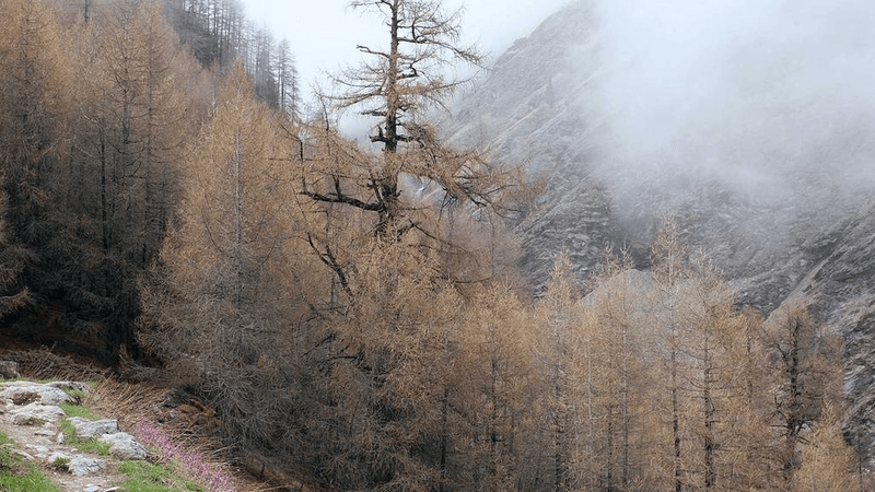 Wallet - professional stock photography