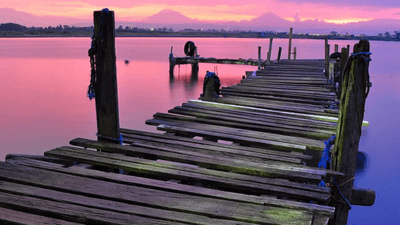 Wallet - professional stock photography