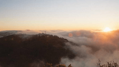 Wallet - professional stock photography